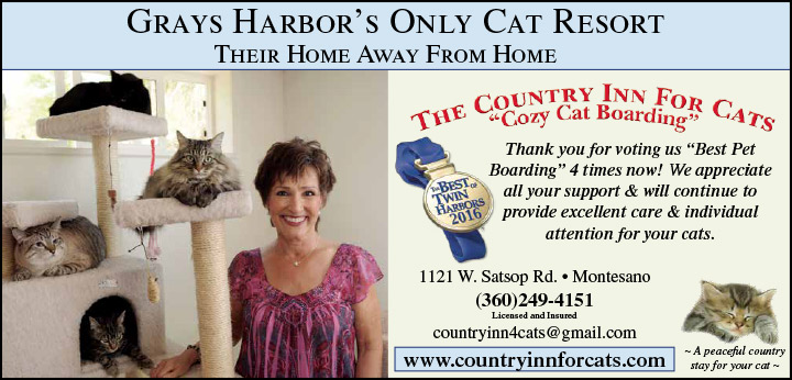 Grays Harbor's Only Cat Resort advertisement for The Country Inn For Cats